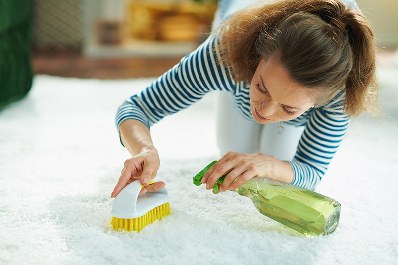 How to Sanitize and Disinfect Carpet Without a Steam Cleaner