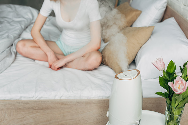 What's the Difference Between Air Purifier and Humidifier?