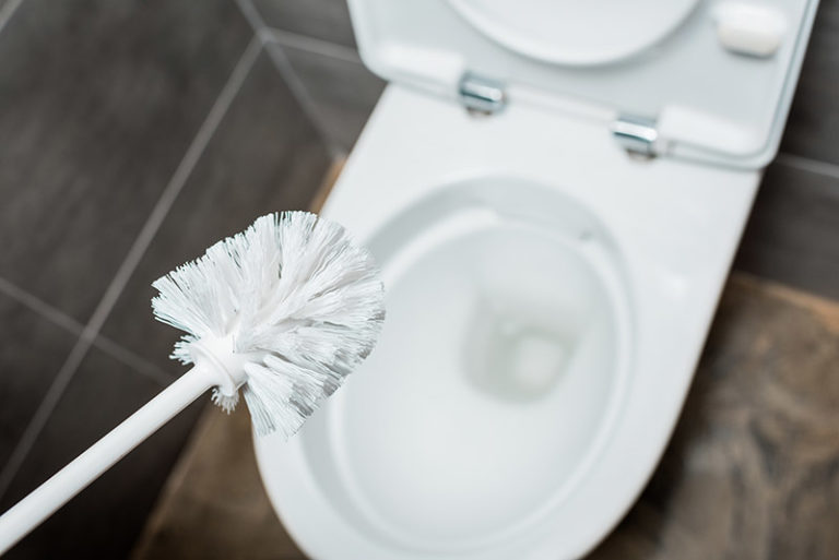 The Best Toilet Brushes