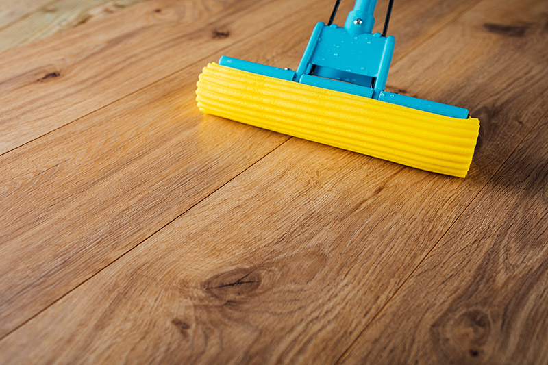 The Best Mop For Laminate Floors, What Kind Of Mop Is Best For Laminate Floors