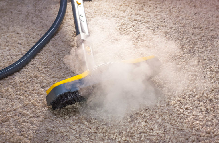 Mold on Carpet: How to Get It Out Without Chemicals