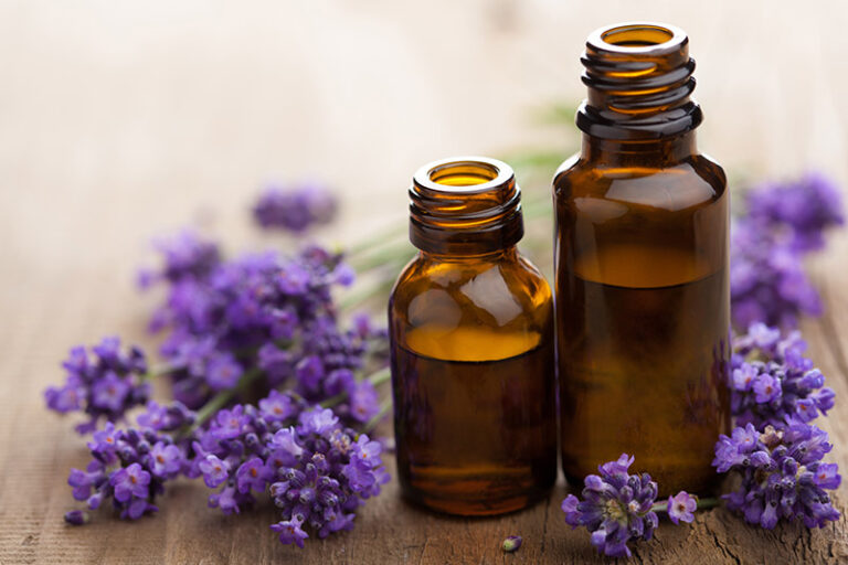 Lavender Essential Oil Benefits and Uses