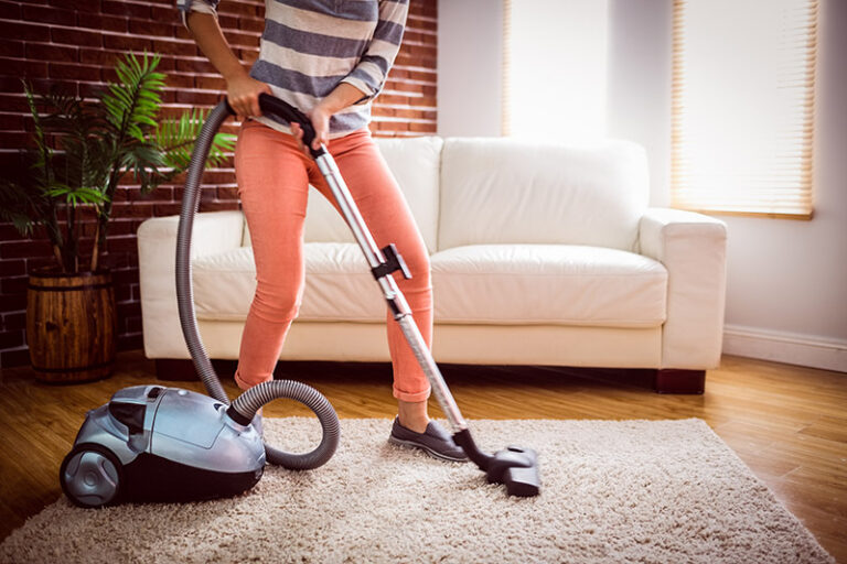 The Best Vacuum for Fleas