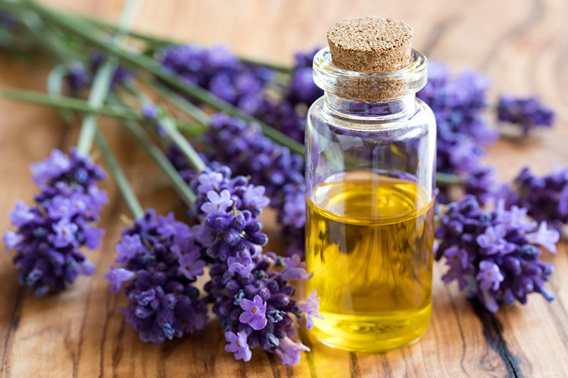 Essential Oils for Cleaning Carpet